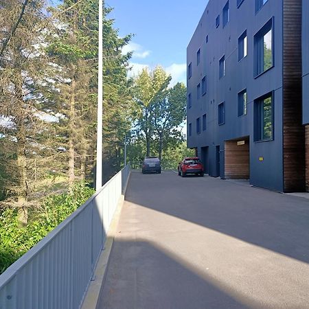 Puffin Nest, Superior Apartment Reykjavik Exterior photo